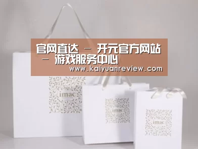 项目名称十一