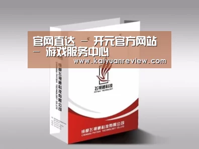项目名称十三