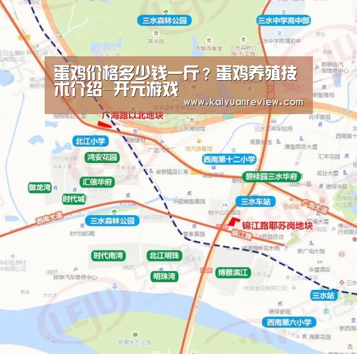 蛋鸡价格多少钱一斤?蛋鸡养殖技术介绍-开元游戏(图3) 开元游戏