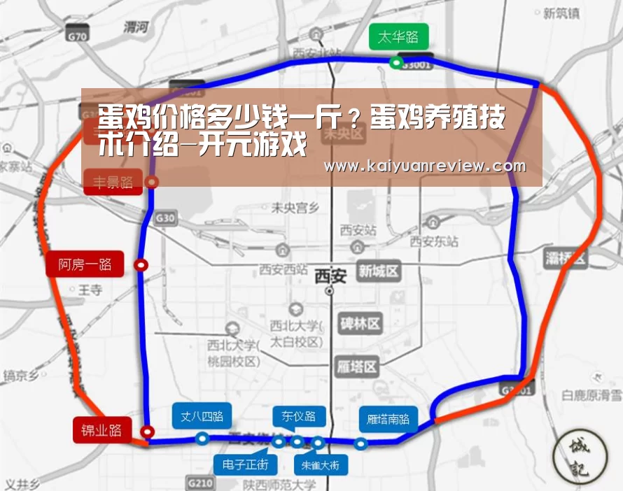 蛋鸡价格多少钱一斤?蛋鸡养殖技术介绍-开元游戏(图2) 开元导航