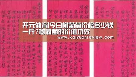 开元体育|今日树葡萄价格多少钱一斤?树葡萄的价值功效(图1) 开元导航
