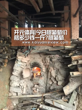 开元体育|今日树葡萄价格多少钱一斤?树葡萄的价值功效(图2) 开元体育