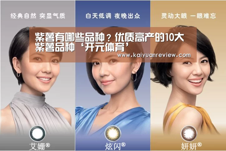 紫薯有哪些品种?优质高产的10大紫薯品种‘开元体育’(图3) 开元导航