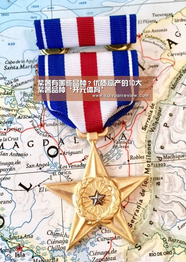 紫薯有哪些品种?优质高产的10大紫薯品种‘开元体育’(图1) 开元棋牌