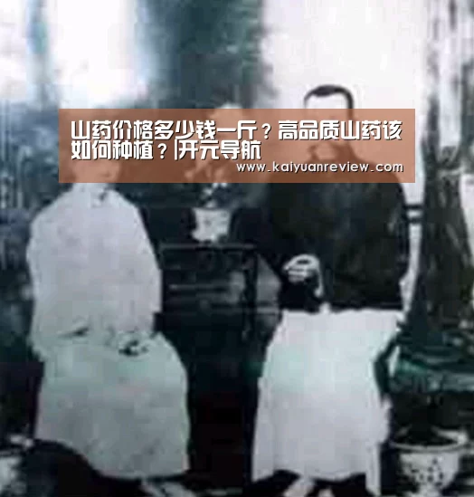 山药价格多少钱一斤?高品质山药该如何种植?|开元导航(图3) 开元棋牌