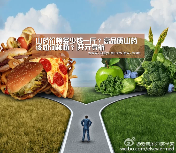 山药价格多少钱一斤?高品质山药该如何种植?|开元导航(图4) 开元导航