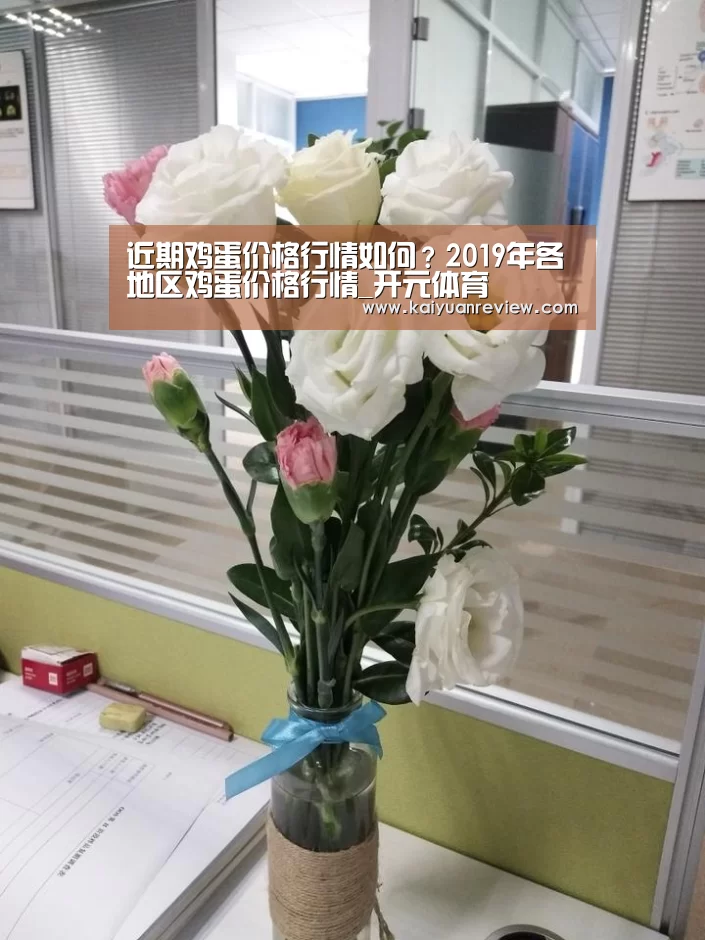 近期鸡蛋价格行情如何?2019年各地区鸡蛋价格行情_开元体育(图3) 开元体育