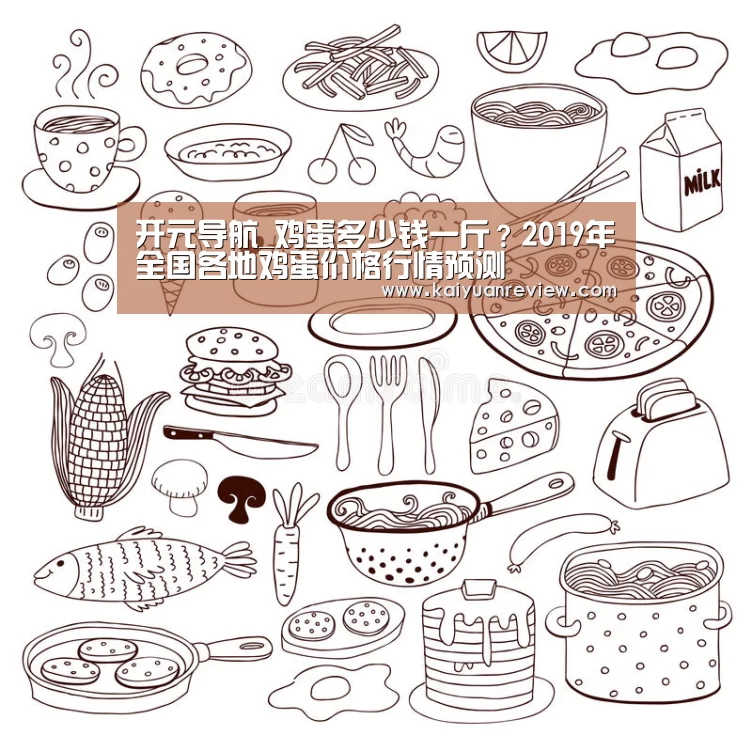 开元导航_鸡蛋多少钱一斤?2019年全国各地鸡蛋价格行情预测(图3) 开元导航