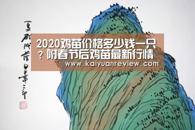 2020鸡苗价格多少钱一只?附春节后鸡苗最新行情分析‘开元体育’(图1) 开元游戏