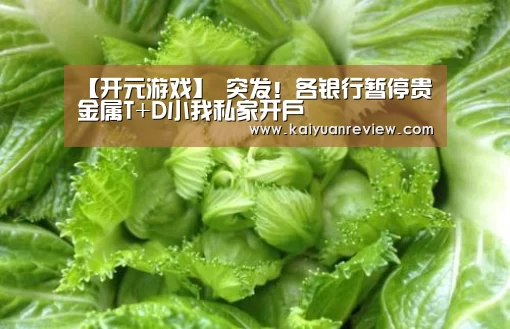 开元游戏