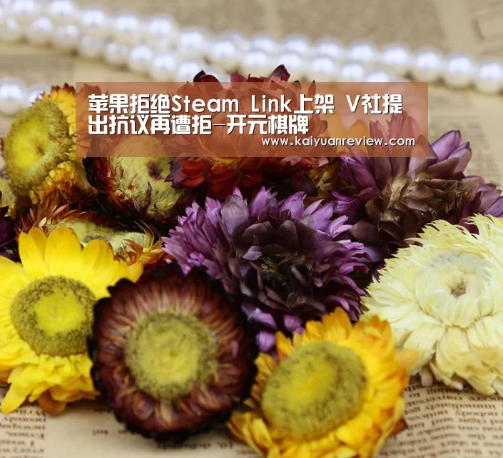 苹果拒绝Steam Link上架 V社提出抗议再遭拒-开元棋牌(图3) 开元棋牌