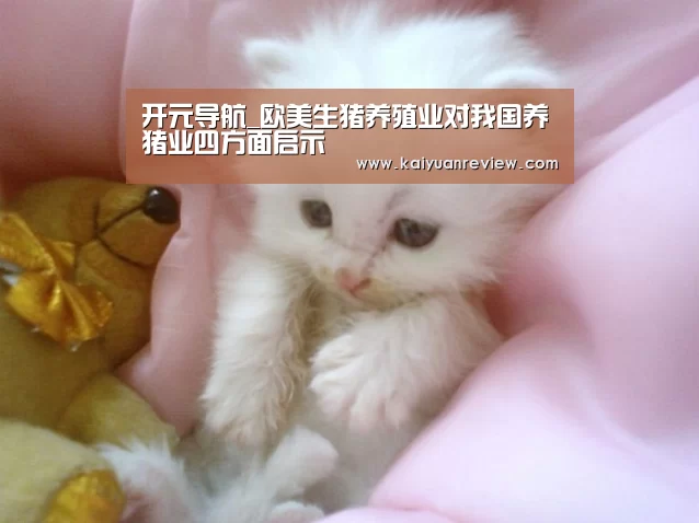 开元游戏