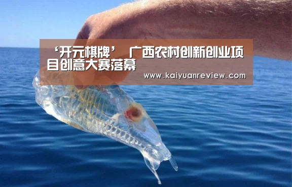 开元游戏